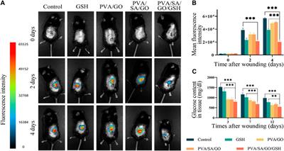 Corrigendum: Double cross-linked graphene oxide hydrogel for promoting healing of diabetic ulcers